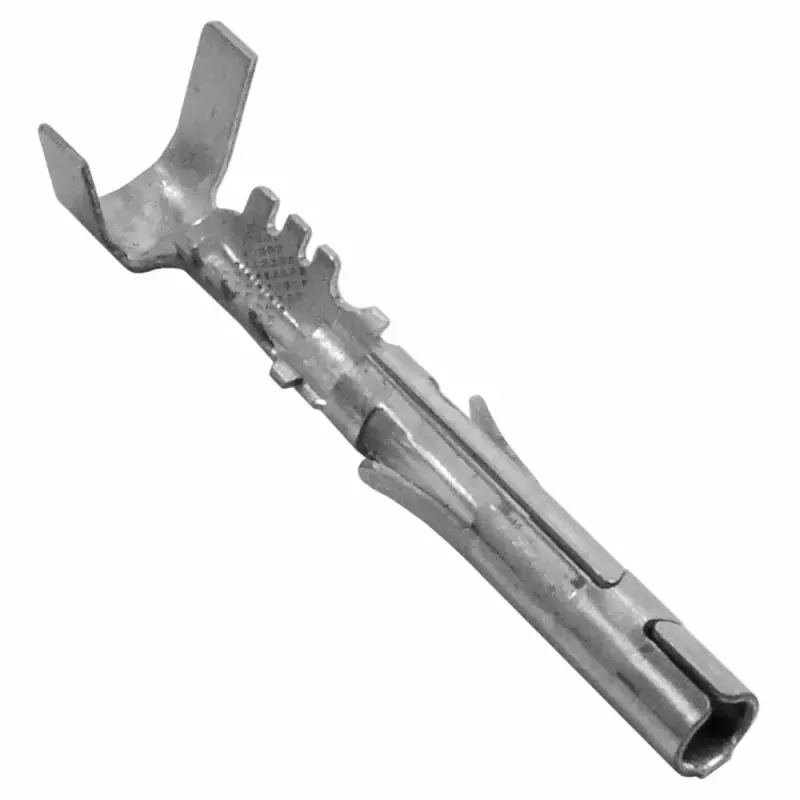 サマーウォーク　38 12089188_thumb800.webp