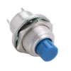 P3 , Blue , Momentary , N.O. , Push Button - P3-61126