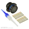 AS,16 WAY,FLG,SKT,B KEY,BLUE - AS020-16SB