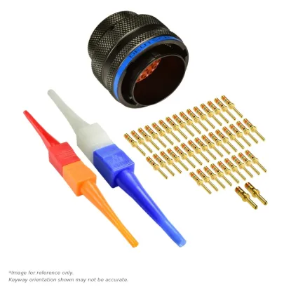AS,39 WAY,PLG,PIN,B KEY,BLUE - AS620-39SB