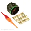 AS,41 WAY,PLG,SKT,D KEY,GREEN - AS620-41PD