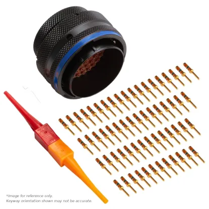 AS,61 WAY,PLG,PIN,B KEY,BLUE - AS624-61SB