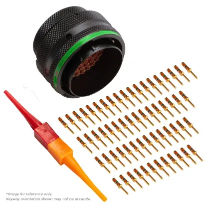 AS,61 WAY,PLG,PIN,D KEY,GREEN - AS624-61SD