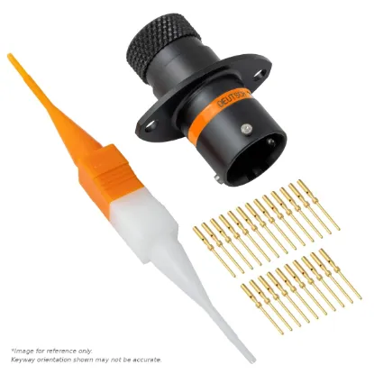 ASDD,23 WAY,FLG,PIN,C KEY,ORANGE - ASDD010-23PC